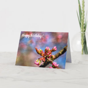 Sakura Cherry Tree Buds. Het begin van de lente Kaart