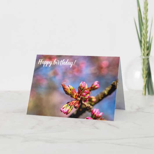 Sakura Cherry Tree Buds. Het begin van de lente Kaart (Voorkant)