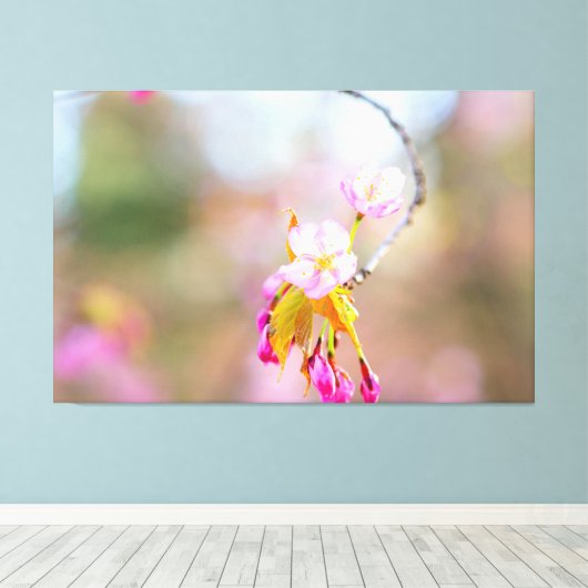 Sakura drijft op een twijg. Time Helix Canvas Afdruk (Insitu (Houten vloer))