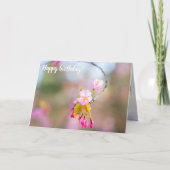 Sakura drijft op een twijg. Time Helix Kaart (Voorkant)