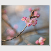 Sakura druist tegen de grijze achtergrond cadeaupapier (Vlak)