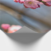 Sakura druist tegen de grijze achtergrond cadeaupapier (Hoek)