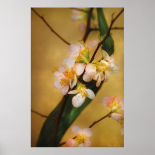 Sakura - Een vleugje lente Poster