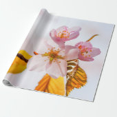 Sakura Flowers en Soft Pink Background Cadeaupapier (Uitgerold)