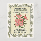 Sakura Flowers  Japans zijderoute Briefkaart (Voorkant)