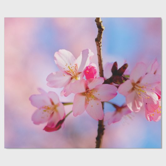 Sakura Flowers op een verticale tak Cadeaupapier (Vlak)