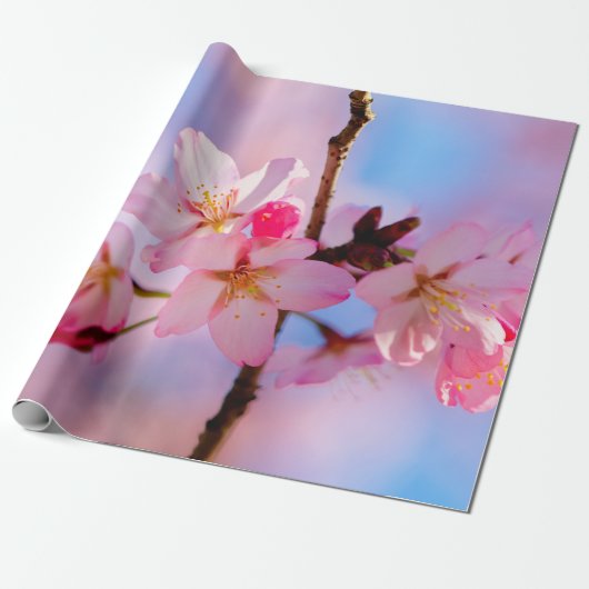 Sakura Flowers op een verticale tak Cadeaupapier (Uitgerold)