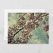 SAKURA FOTO BRIEFKAART (Voorkant / Achterkant)