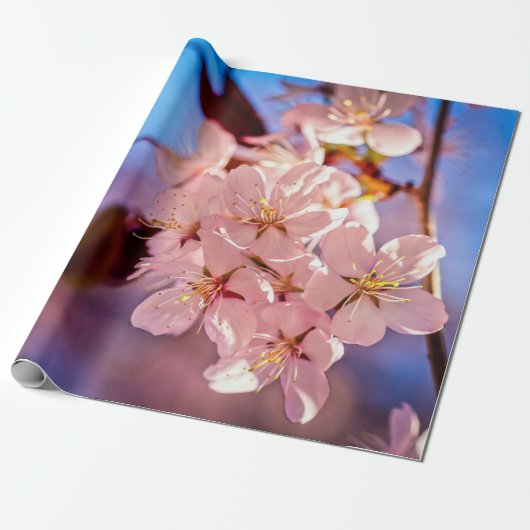 Sakura in de boomschaduw cadeaupapier (Uitgerold)