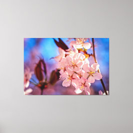 Sakura in de boomschaduw canvas afdruk