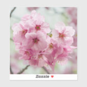 Sakura in de lente – Tokyo bloem Sticker (Vel)