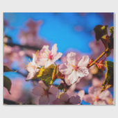 Sakura in roze en blauw cadeaupapier (Vlak)