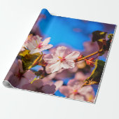 Sakura in roze en blauw cadeaupapier (Uitgerold)