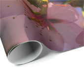 Sakura in roze en blauw cadeaupapier (Rol Hoek)