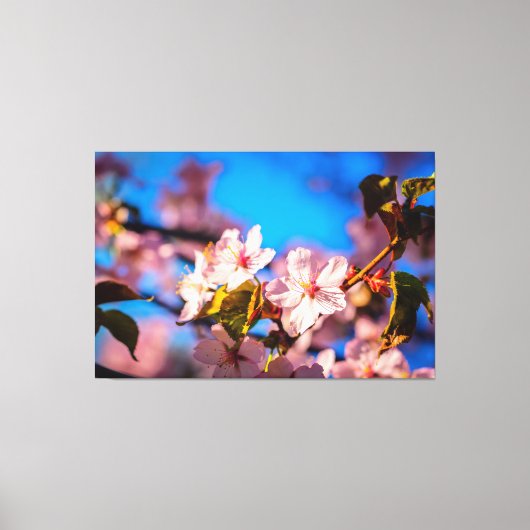 Sakura in roze en blauw canvas afdruk (Voorkant)