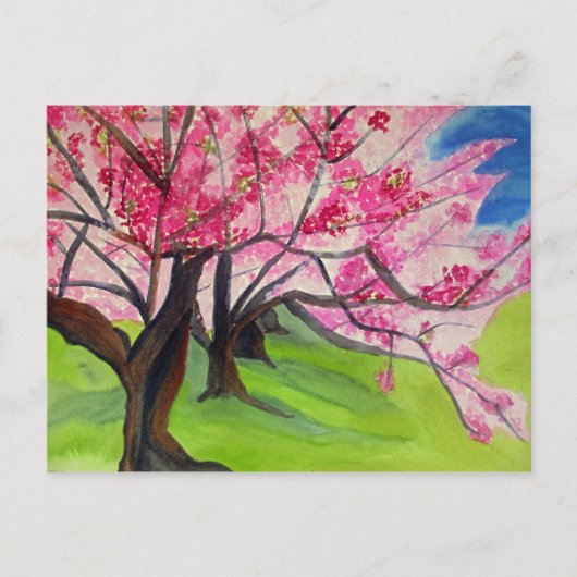 Sakura Japans Cherry Blossom waterverf art Briefkaart (Voorkant)