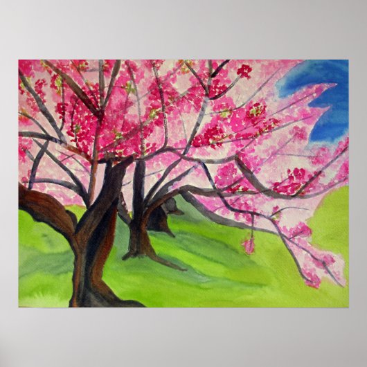 Sakura Japans Cherry Blossom waterverf Poster (Voorkant)