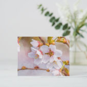 Sakura - Japanse Cherry Blossom Briefkaart (Staand voorkant)