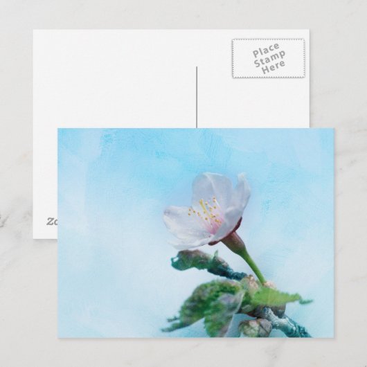 Sakura - Japanse Cherry Blossom Briefkaart (Voorkant / Achterkant)