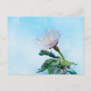 Sakura - Japanse Cherry Blossom Briefkaart