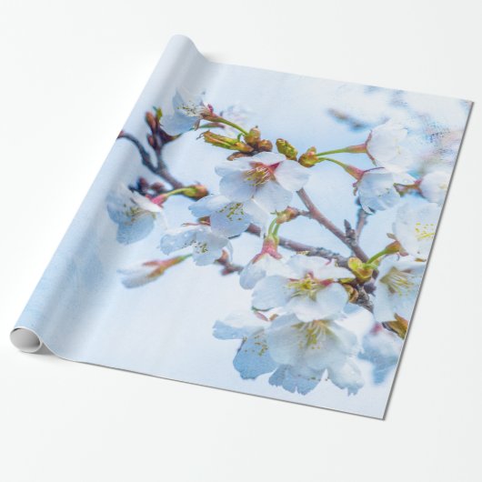 Sakura - Japanse Cherry Blossom Cadeaupapier (Uitgerold)