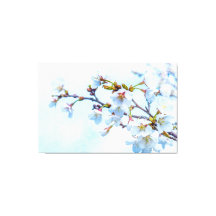 Sakura - Japanse Cherry Blossom