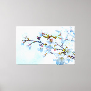 Sakura - Japanse Cherry Blossom Canvas Afdruk