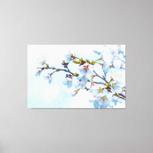 Sakura - Japanse Cherry Blossom Canvas Afdruk (Voorkant)