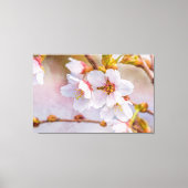 Sakura - Japanse Cherry Blossom Canvas Afdruk (Voorkant)