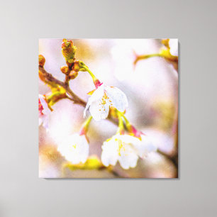 Sakura - Japanse Cherry Blossom Canvas Afdruk