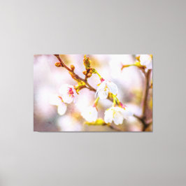 Sakura - Japanse Cherry Blossom Canvas Afdruk