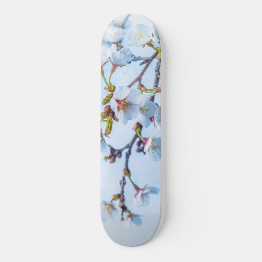 Sakura - Japanse Cherry Blossom Persoonlijk Skateboard (Voorkant)