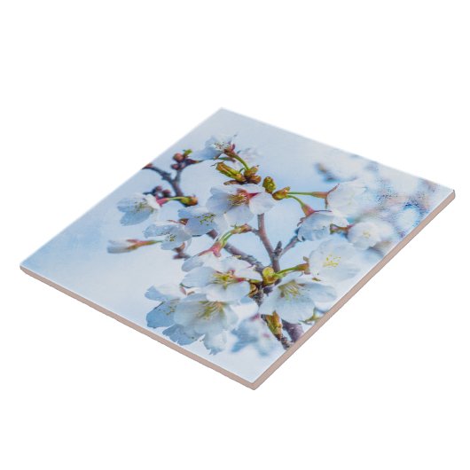 Sakura - Japanse Cherry Blossom Tegeltje (Zijkant)