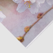 Sakura - Japanse Cherry Blossom Tissuepapier (Detail)