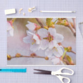 Sakura - Japanse Cherry Blossom Tissuepapier (Craft)