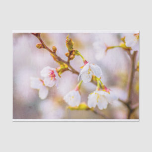 Sakura - Japanse Cherry Blossom Tissuepapier