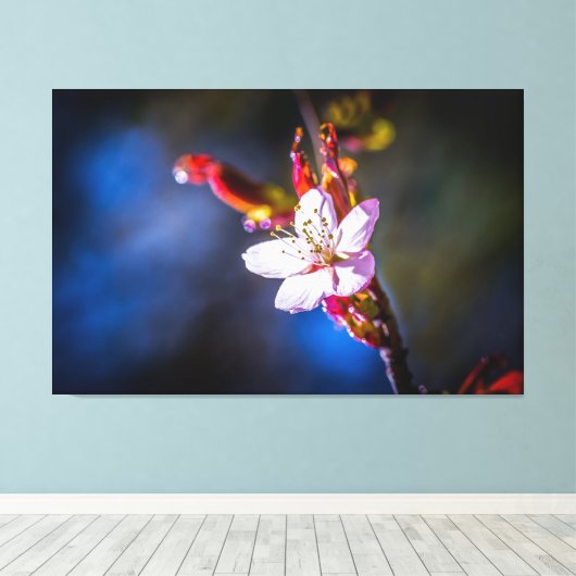 Sakura - Japanse kersbloem Canvas Afdruk (Insitu (Houten vloer))