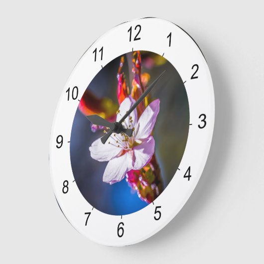 Sakura - Japanse kersbloem Grote Klok (Hoek)