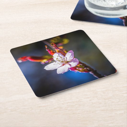 Sakura - Japanse kersbloem Kartonnen Onderzetters (Schuin)