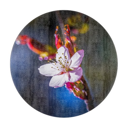 Sakura - Japanse kersbloem Snijplank (Voorkant)