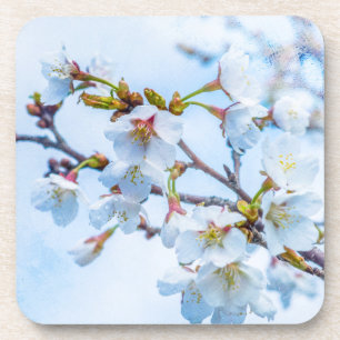 Sakura - Japanse Kersenbloesem Bier Onderzetter