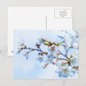 Sakura - Japanse Kersenbloesem Briefkaart (Voorkant / Achterkant)