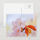 Sakura - Japanse kersenbloesem Briefkaart (Voorkant / Achterkant)