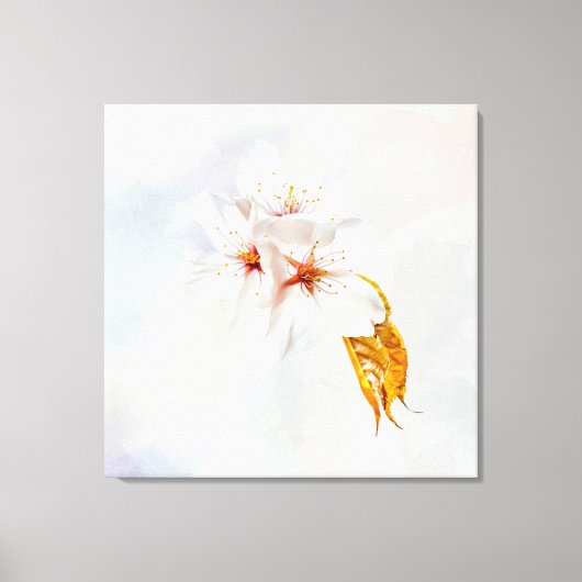 Sakura - Japanse kersenbloesem Canvas Afdruk (Voorkant)