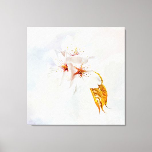 Sakura - Japanse kersenbloesem Canvas Afdruk (Voorkant)