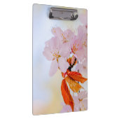 Sakura - Japanse kersenbloesem Klembord (Rechts)