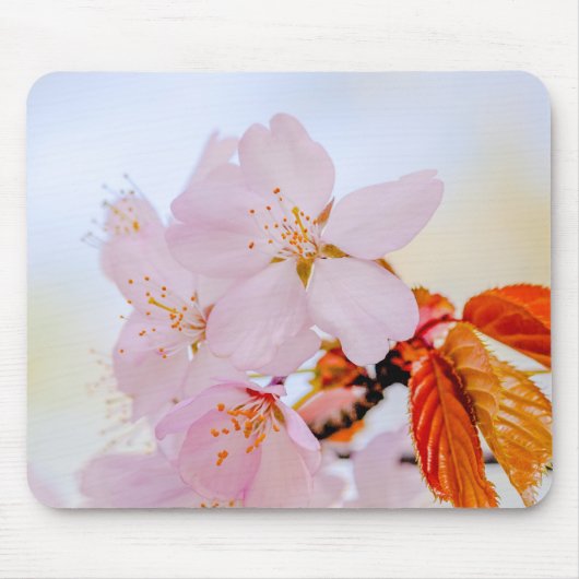 Sakura - Japanse kersenbloesem Muismat (Voorkant)