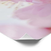 Sakura - Japanse kersenbloesem Poster (Hoek)
