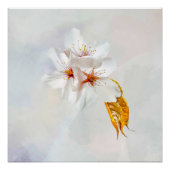 Sakura - Japanse kersenbloesem Poster (Voorkant)