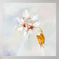 Sakura - Japanse kersenbloesem